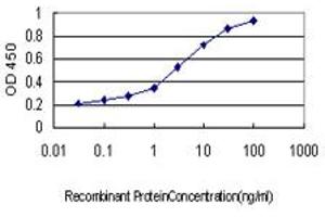 Detection limit for recombinant GST tagged MCM2 is approximately 0.