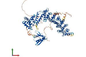 AlphaFold protein structure predicition of Mouse Recombinant Ppp4r3a Protein, UniprotID Q6P2K6