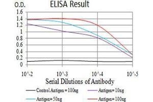 Black line: Control Antigen (100 ng);Purple line: Antigen (10ng); Blue line: Antigen (50 ng); Red line:Antigen (100 ng)