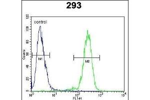 N2A1 Antibody (Center) (ABIN654920 and ABIN2844565) flow cytometric analysis of 293 cells (right histogram) compared to a negative control cell (left histogram). (alpha-Mannosidase II anticorps  (AA 456-482))