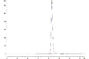 The purity of Mouse HPX is greater than 95 % as determined by SEC-HPLC.