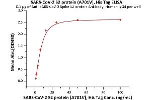 Immobilized A-CoV-2 Spike S2 protein Antibody, Human IgG4 (S2N-S86) at 1 μg/mL (100 μL/well) can bind SARS-CoV-2 S2 protein (A701V), His Tag (ABIN6992376) with a linear range of 0. (SARS-CoV-2 Spike S2 Protein (B.1.351 - beta) (His tag))