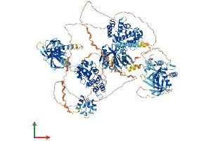 AlphaFold protein structure predicition of Mouse Recombinant Arap1 Protein, UniprotID Q4LDD4