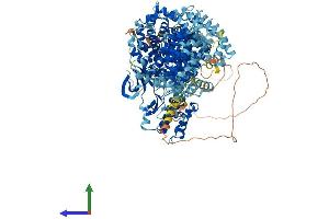 AlphaFold protein structure predicition of Human Recombinant STK36 Protein, UniprotID Q9NRP7