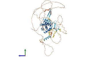 AlphaFold protein structure predicition of Human Recombinant CABLES1 Protein, UniprotID Q8TDN4