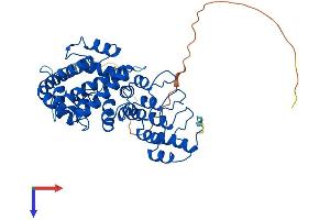AlphaFold protein structure predicition of Mouse Recombinant Ankmy2 Protein, UniprotID Q3TPE9