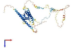 AlphaFold protein structure predicition of Human Recombinant PLEKHO1 Protein, UniprotID Q53GL0