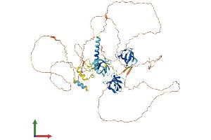 AlphaFold protein structure predicition of Human Recombinant SORBS3 Protein, UniprotID O60504