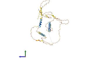 AlphaFold protein structure predicition of Human Recombinant C8orf58 Protein, UniprotID Q8NAV2