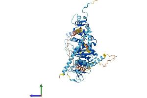 AlphaFold protein structure predicition of Mouse Recombinant Pes1 Protein, UniprotID Q9EQ61