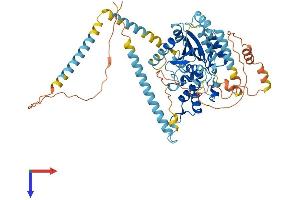 AlphaFold protein structure predicition of Mouse Recombinant Gnl3l Protein, UniprotID Q6PGG6