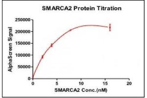 Recombinant SMARCA2 / BRM (1367-1511), GST-tag activity using AlphaLISA.