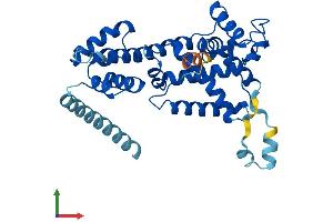 AlphaFold protein structure predicition of Human Recombinant ELMOD1 Protein, UniprotID Q8N336