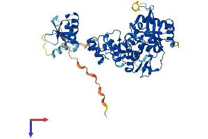 AlphaFold protein structure predicition of Human Recombinant DNTT Protein, UniprotID P04053