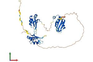 AlphaFold protein structure predicition of Human Recombinant TIAL1 Protein, UniprotID Q01085
