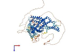 AlphaFold protein structure predicition of Mouse Recombinant Atg9b Protein, UniprotID Q6EBV9