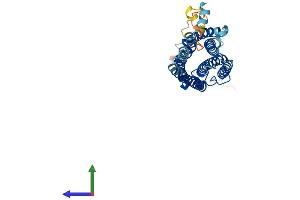 AlphaFold protein structure predicition of Human Recombinant GPR12 Protein, UniprotID P47775