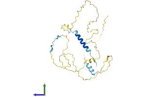 AlphaFold protein structure predicition of Mouse Recombinant Cdca5 Protein, UniprotID Q9CPY3