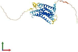 AlphaFold protein structure predicition of Human Recombinant CCRL2 Protein, UniprotID O00421