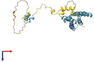 AlphaFold protein structure predicition of Human Recombinant YIPF4 Protein, UniprotID Q9BSR8