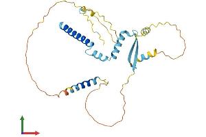 AlphaFold protein structure predicition of Mouse Recombinant Cfdp1 Protein, UniprotID O88271