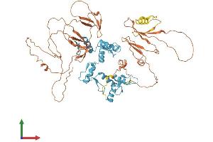 AlphaFold protein structure predicition of Human Recombinant ZNF143 Protein, UniprotID P52747