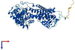 AlphaFold protein structure predicition of Human Recombinant HAL Protein, UniprotID P42357
