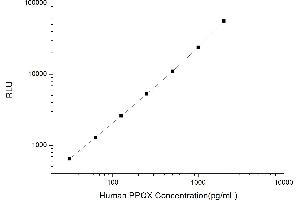 Typical standard curve (PPOX Kit CLIA)