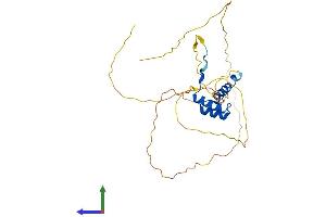 AlphaFold protein structure predicition of Human Recombinant DLX5 Protein, UniprotID P56178