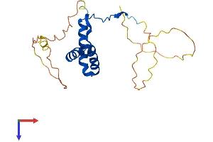 AlphaFold protein structure predicition of Human Recombinant SRY Protein, UniprotID Q05066