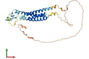 AlphaFold protein structure predicition of Human Recombinant TMEM255B Protein, UniprotID Q8WV15