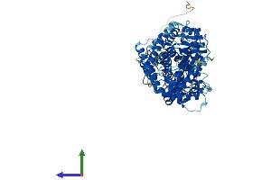 AlphaFold protein structure predicition of Human Recombinant KEL Protein, UniprotID P23276