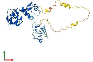AlphaFold protein structure predicition of Human Recombinant ARL14EP Protein, UniprotID Q8N8R7