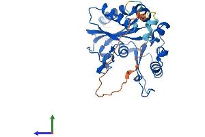 AlphaFold protein structure predicition of Human Recombinant MMACHC Protein, UniprotID Q9Y4U1
