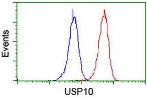 Image no. 5 for anti-Ubiquitin Specific Peptidase 10 (USP10) antibody (ABIN1501689) (USP10 anticorps)