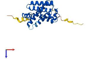 AlphaFold protein structure predicition of Mouse Recombinant Cygb Protein, UniprotID Q9CX80
