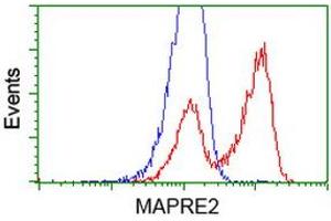 HEK293T cells transfected with either RC200259 overexpress plasmid (Red) or empty vector control plasmid (Blue) were immunostained by anti-MAPRE2 antibody (ABIN2454619), and then analyzed by flow cytometry. (MAPRE2 anticorps)
