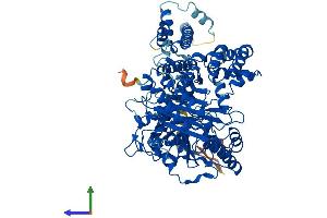 AlphaFold protein structure predicition of Mouse Recombinant Cpt1b Protein, UniprotID Q924X2