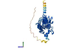 AlphaFold protein structure predicition of Human Recombinant ZDHHC15 Protein, UniprotID Q96MV8