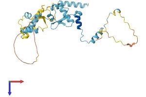 AlphaFold protein structure predicition of Human Recombinant GTF2E2 Protein, UniprotID P29084