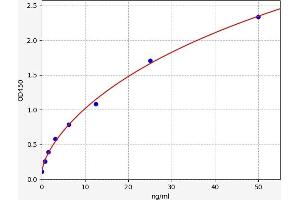 Typical standard curve (FZD3 Kit ELISA)
