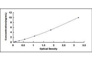 Typical standard curve (NTSR1 Kit ELISA)