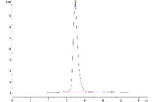 The purity of Biotinylated Human CD155 is greater than 95 % as determined by SEC-HPLC.