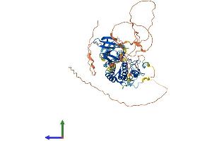AlphaFold protein structure predicition of Mouse Recombinant Tesk2 Protein, UniprotID Q8VCT9