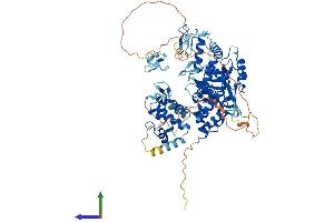 AlphaFold protein structure predicition of Human Recombinant ZRANB1 Protein, UniprotID Q9UGI0