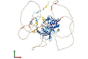 AlphaFold protein structure predicition of Mouse Recombinant Pak5 Protein, UniprotID Q8C015