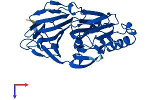 AlphaFold protein structure predicition of Human Recombinant PIR Protein, UniprotID O00625