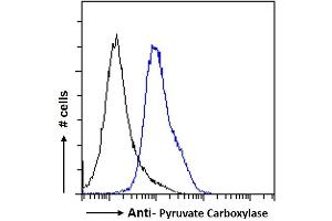 ABIN238663 Flow cytometric analysis of paraformaldehyde fixed HeLa cells (blue line), permeabilized with 0. (PC anticorps  (Internal Region))