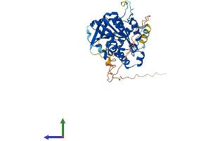 AlphaFold protein structure predicition of Human Recombinant NDRG3 Protein, UniprotID Q9UGV2