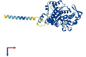 AlphaFold protein structure predicition of Human Recombinant GCNT3 Protein, UniprotID O95395